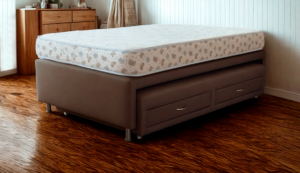 camanido santy menfis