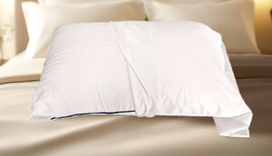 Protector de Almohada x 2 Unidades